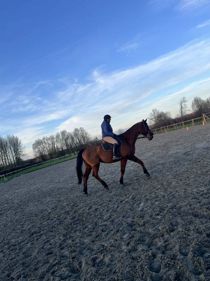 Monitrice Ind&eacute;pendante 