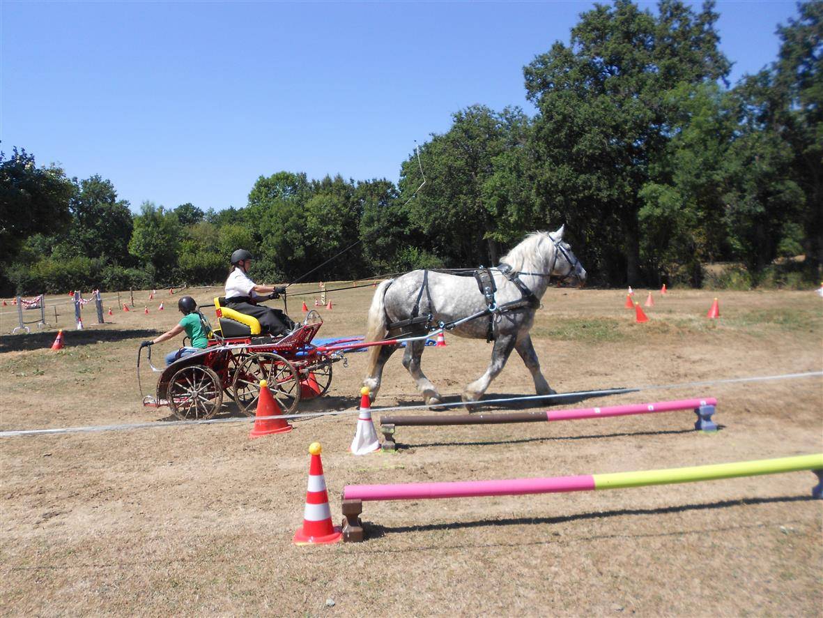 vend &eacute;talon percheron 