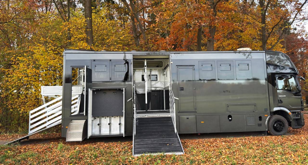 MAN TGM 15.290 WMS POP OUT