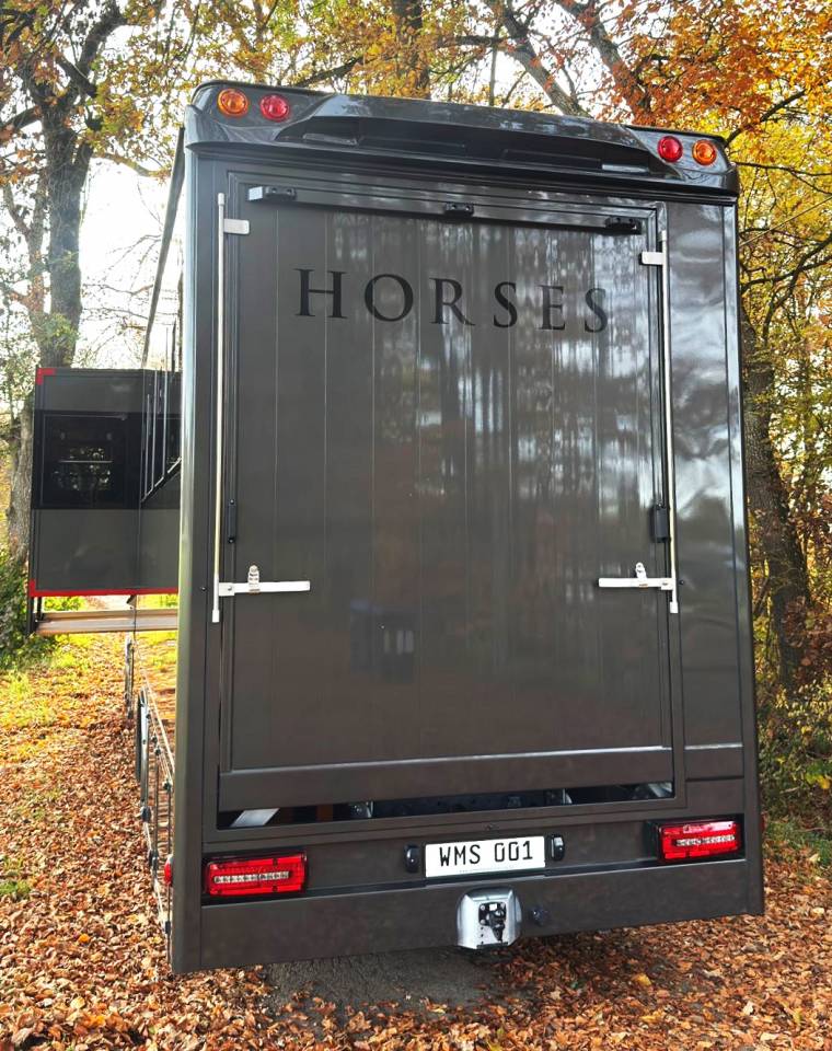 MAN TGM 15.290 WMS POP OUT