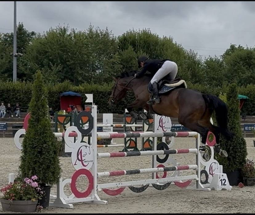 Cours &eacute;quitation 