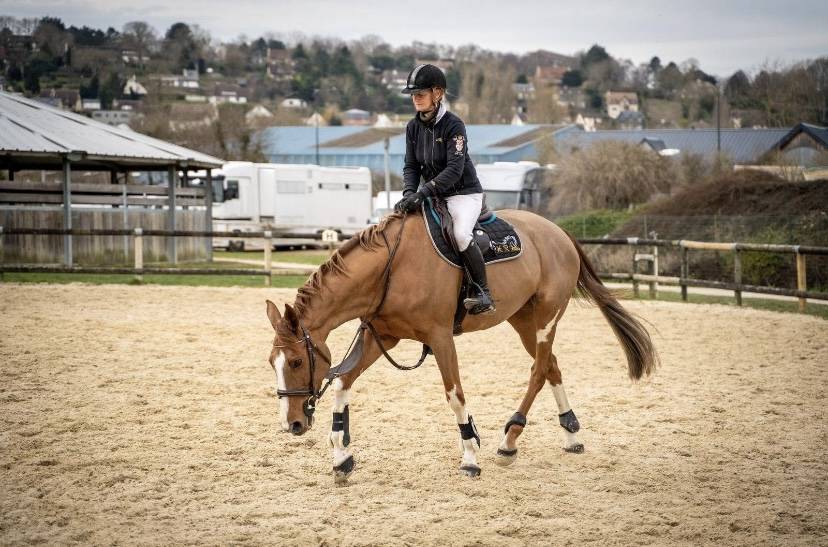 Cours &eacute;quitation 