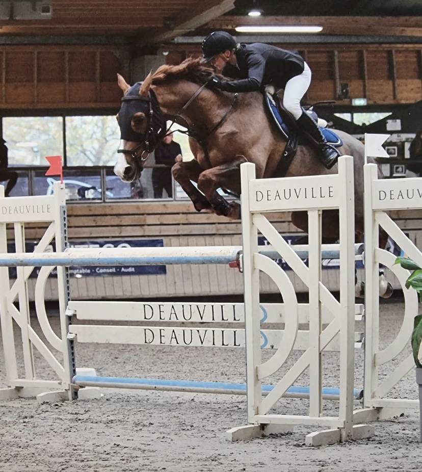 Cours &eacute;quitation 