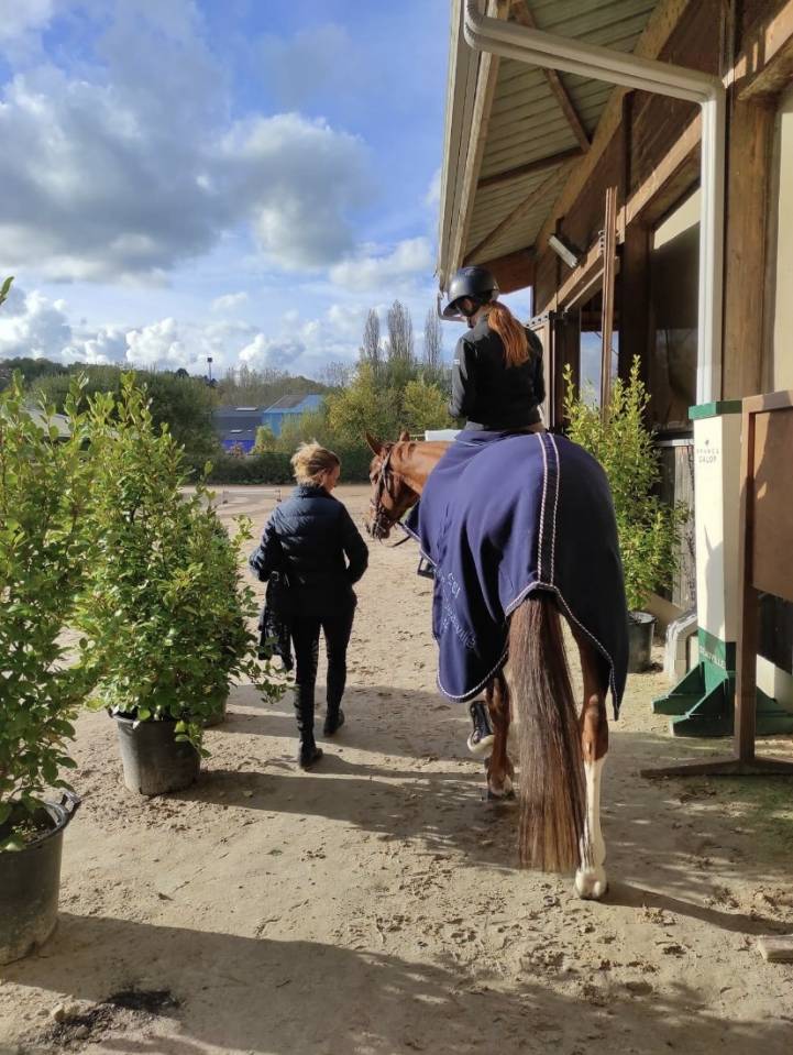 Cours &eacute;quitation 