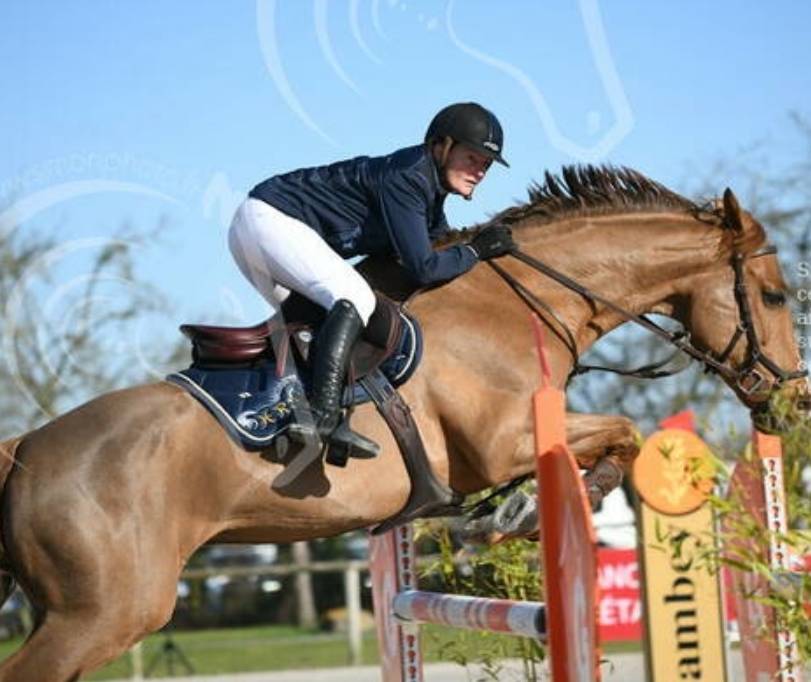 Cours &eacute;quitation 