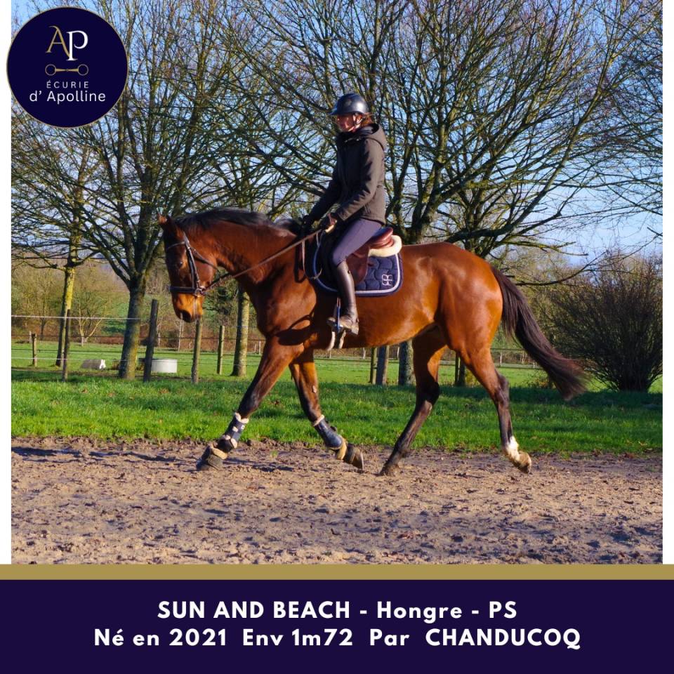 5 ans Env 1m72 tr&egrave;s beau mod&egrave;le