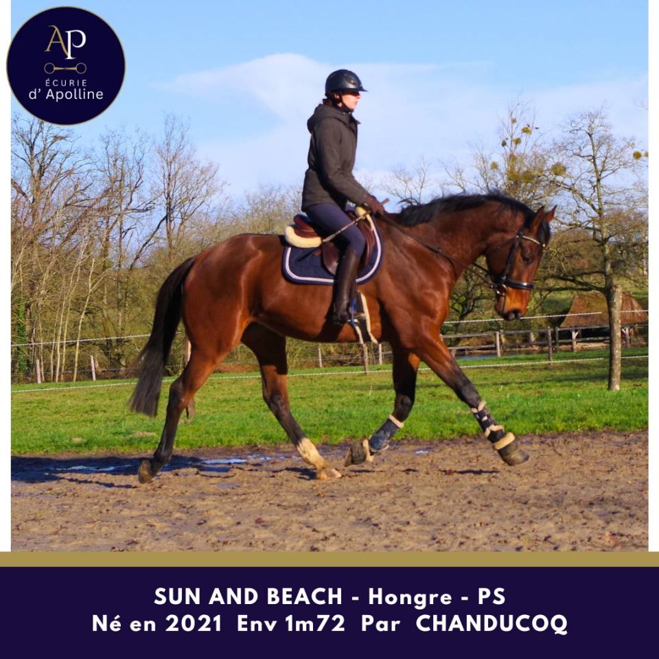 5 ans Env 1m72 tr&egrave;s beau mod&egrave;le