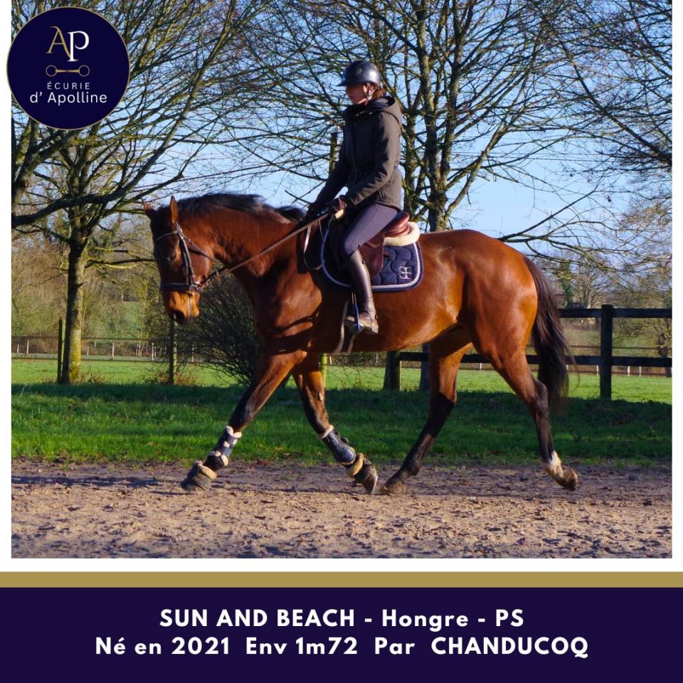 5 ans Env 1m72 tr&egrave;s beau mod&egrave;le