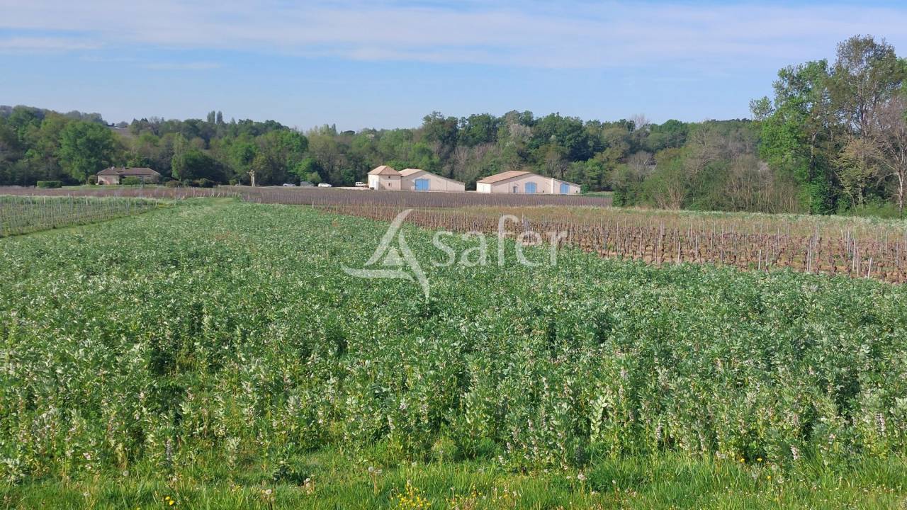Etang de 3 hectares, 38 hectares de foncier d'un seul tenant ave