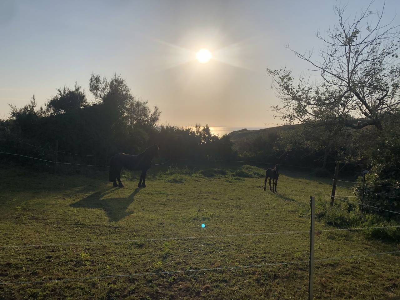 Maison vue mer avec possibilit&eacute; d'acceuil chevaux