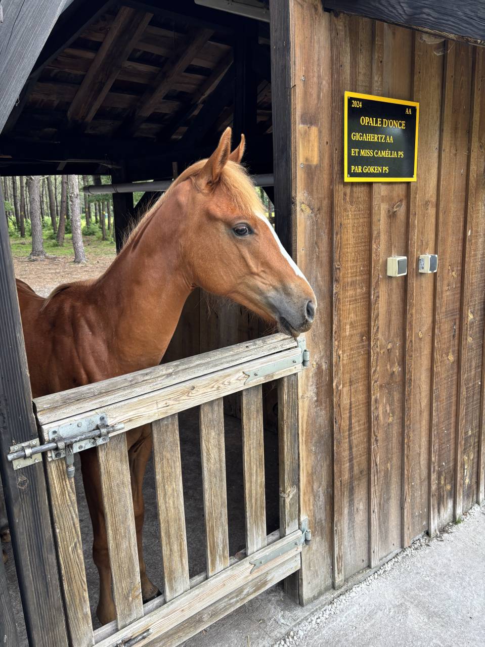 BASSIN D&rsquo;ARCACHON PROPRI&Eacute;T&Eacute; DE 18 HECTARES 