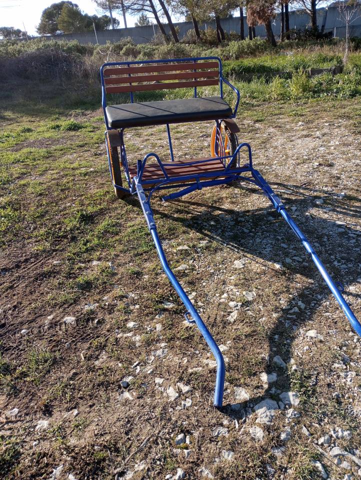 Cal&egrave;che sulky poney