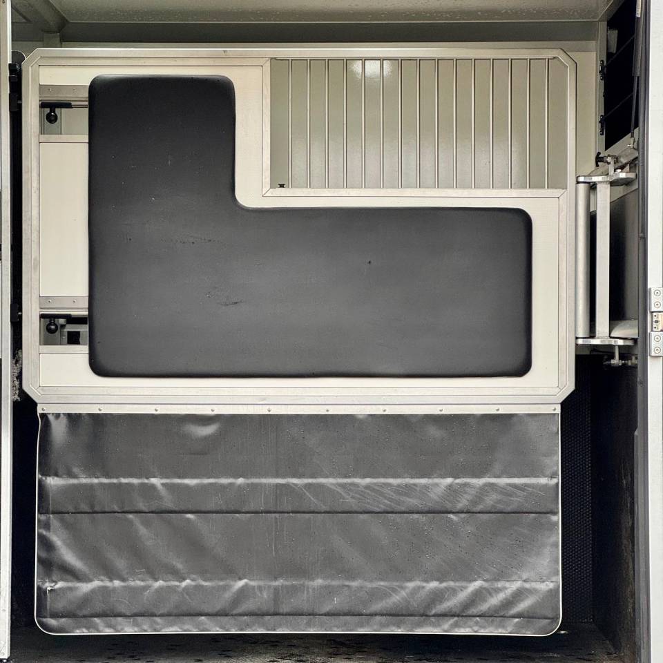 Camion chevaux Vl occasion AKX 