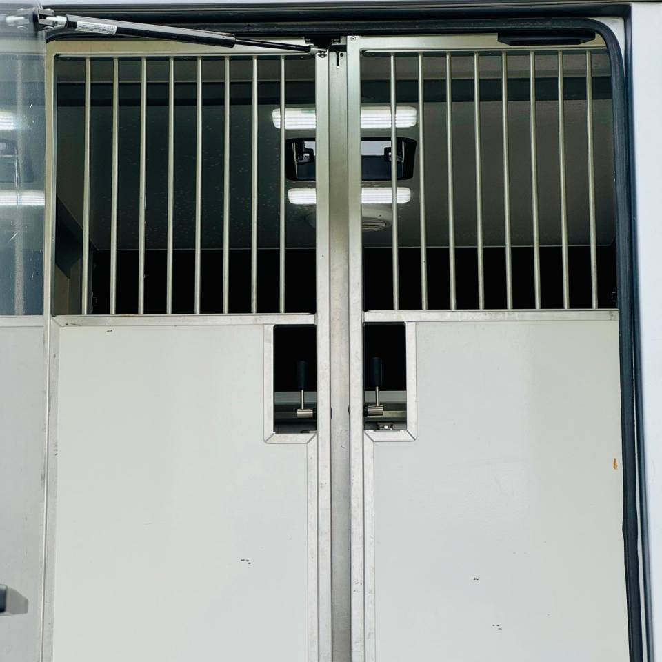 Camion chevaux Vl occasion AKX 