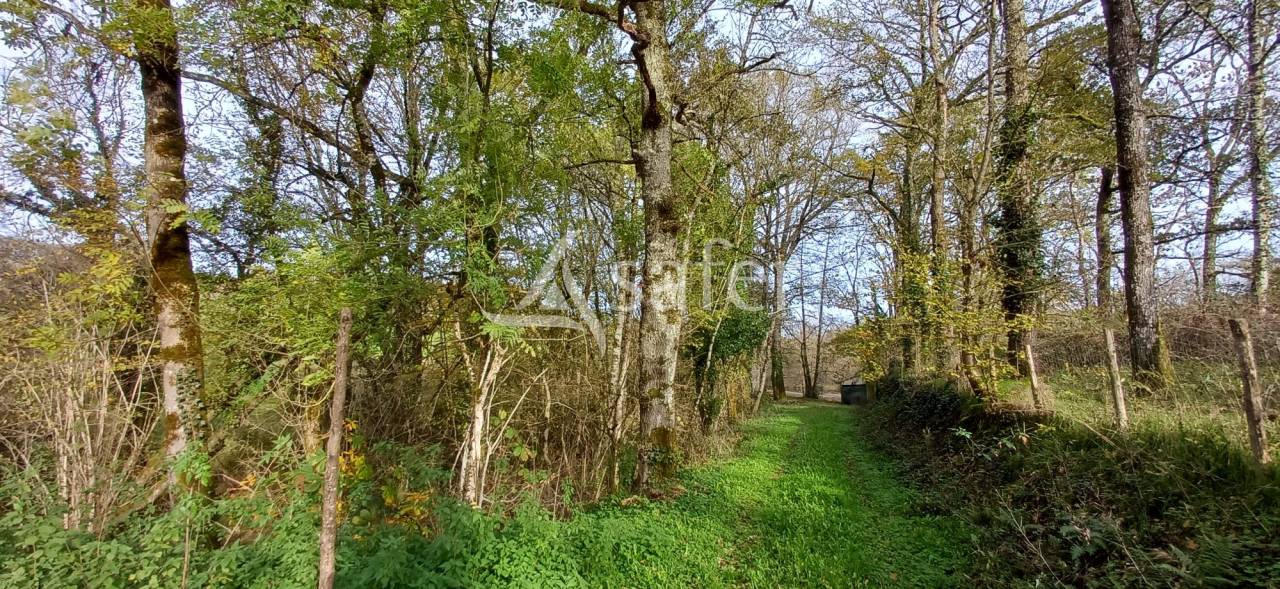 Etang, pr&eacute; et bois sur 2ha24 en P&eacute;rigord vert