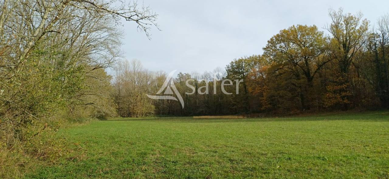 Etang, pr&eacute; et bois sur 2ha24 en P&eacute;rigord vert