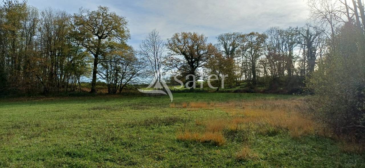 Etang, pr&eacute; et bois sur 2ha24 en P&eacute;rigord vert