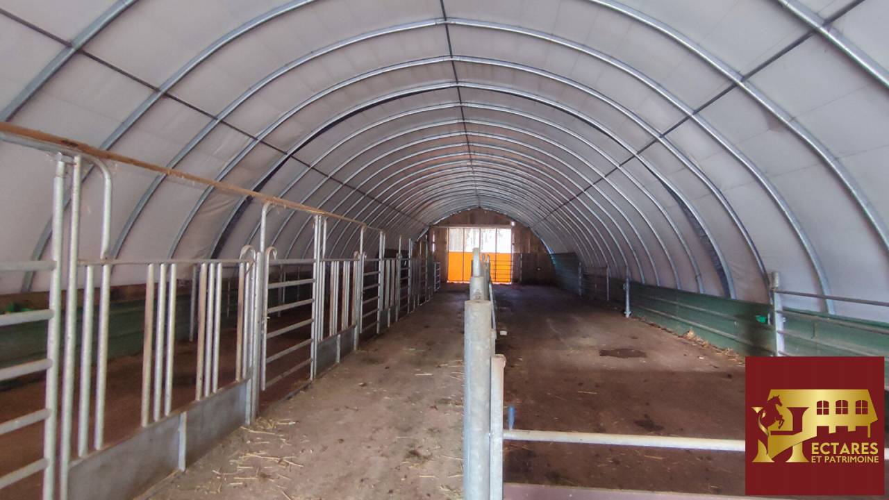 26 hectares aux portes de Suisse