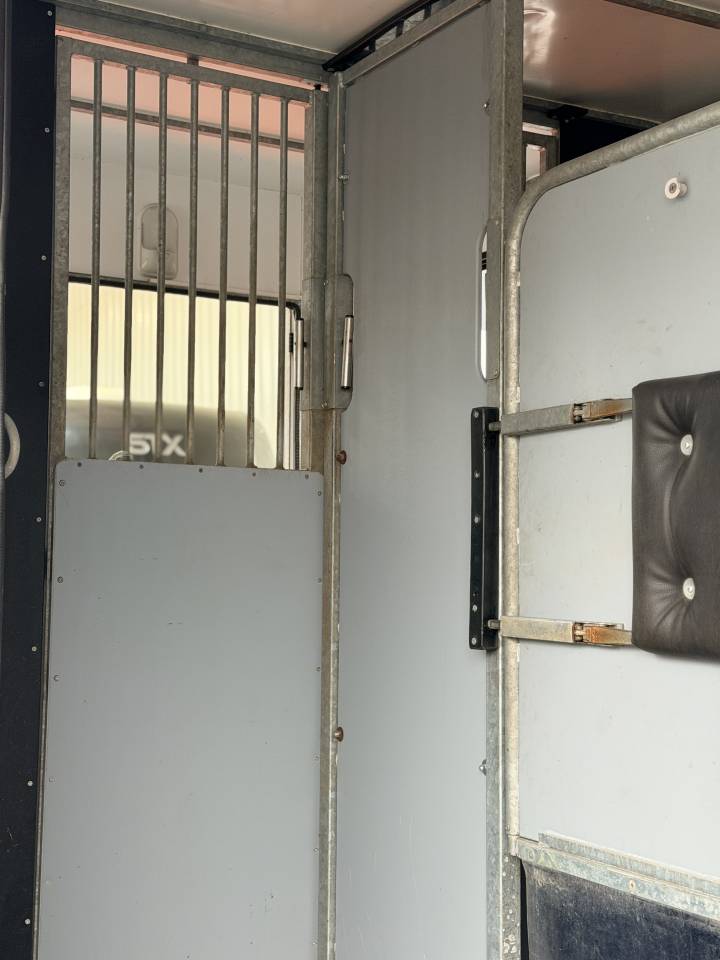 Camion Vl chevaux AP-PETIT 