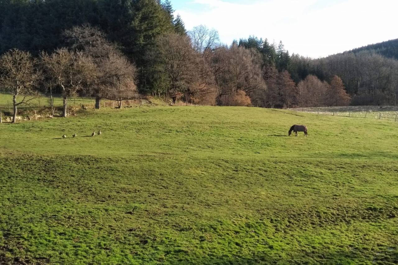 Charmante propri&eacute;t&eacute; d&eacute;ploy&eacute;e sur plus de 45ha (63)