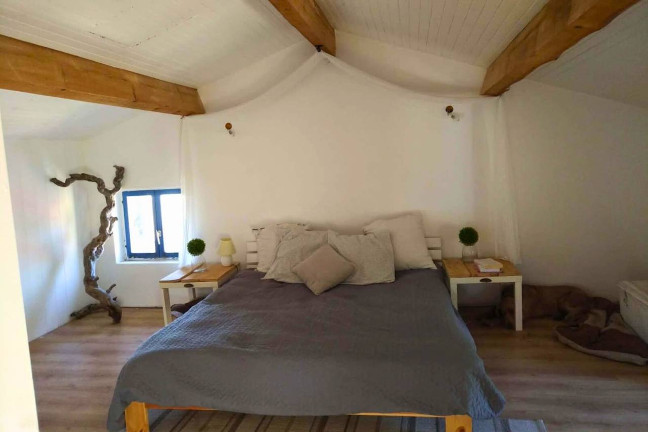 Charmante propri&eacute;t&eacute; d&eacute;ploy&eacute;e sur plus de 45ha (63)