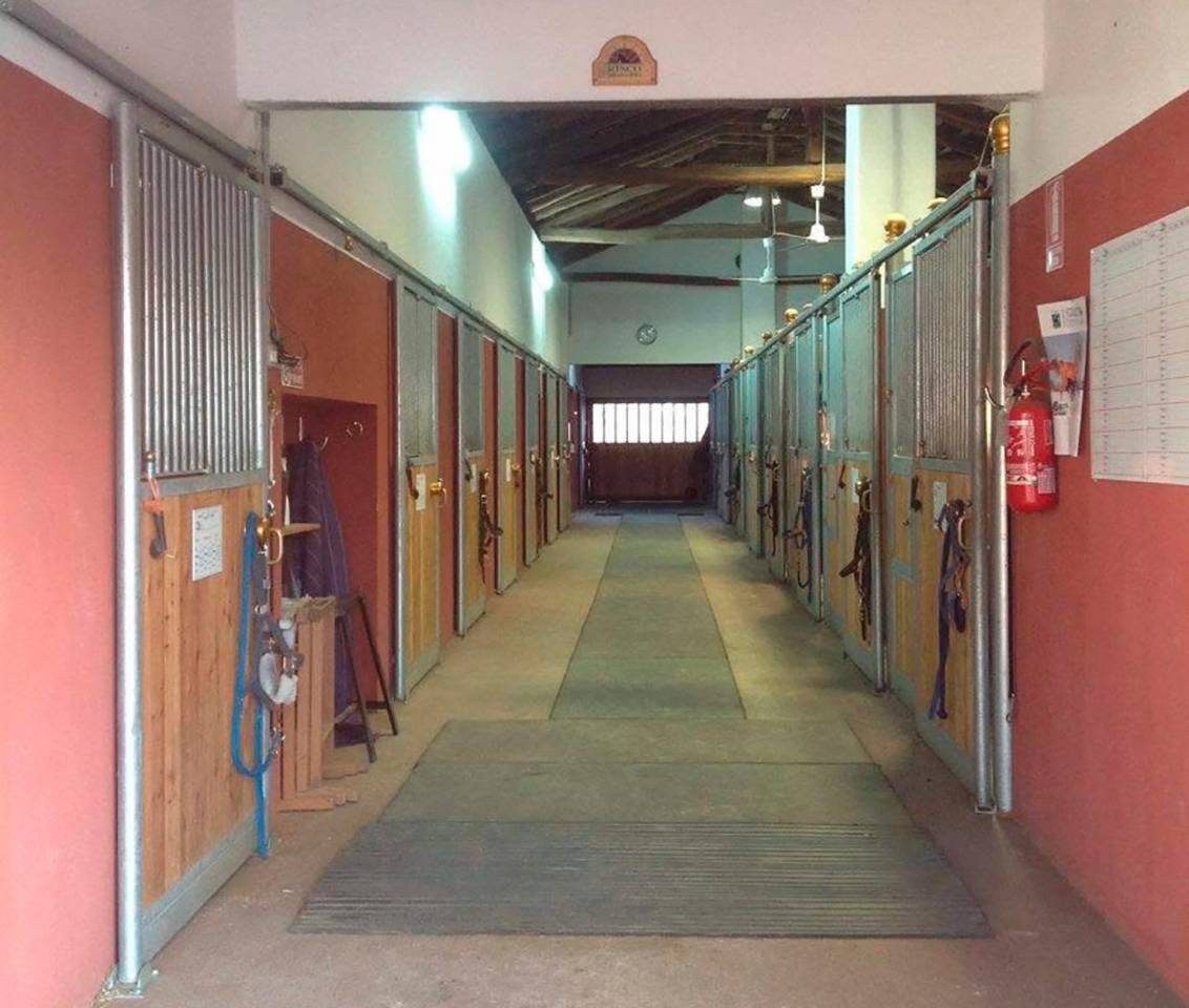 Propri&eacute;t&eacute; &eacute;questre A vendre Turin