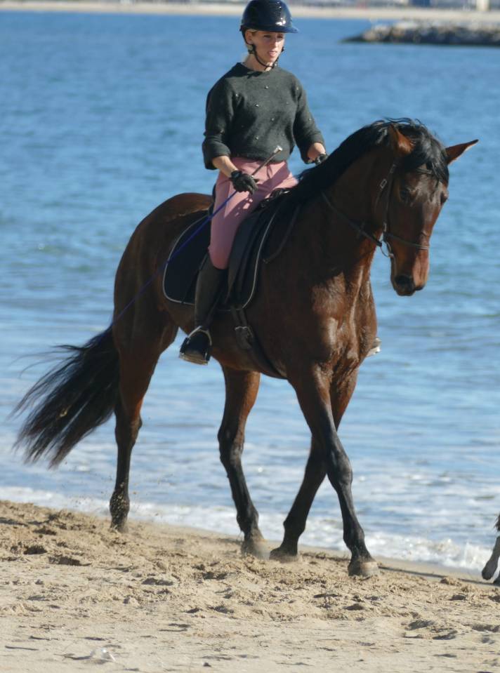 Adorable jeune jument PRE