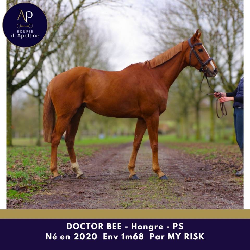 6 ans env 1m68 petit prix pour bonne maison