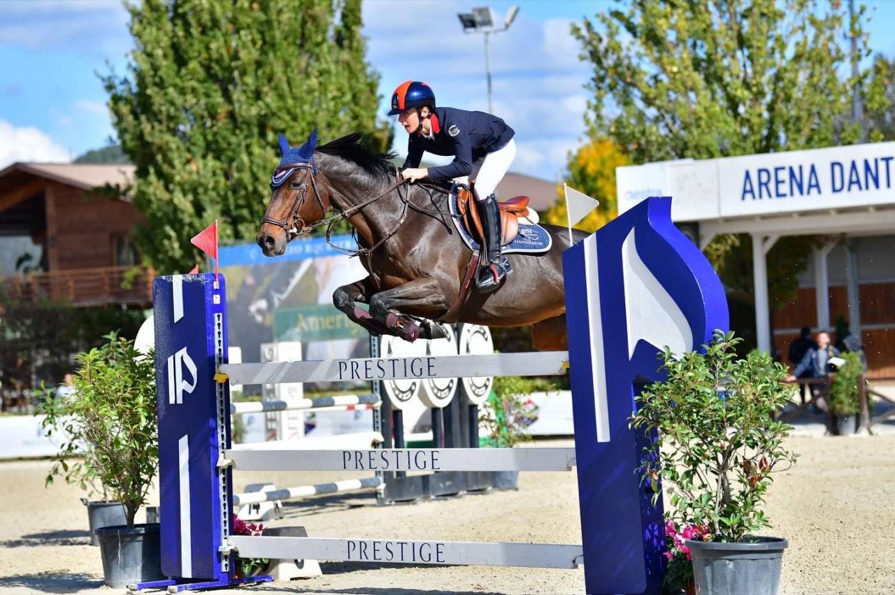 Jument Holsteiner A vendre 2011 Bai