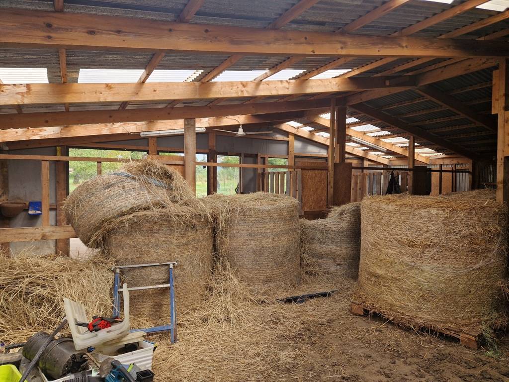 Propri&eacute;t&eacute; &eacute;questre &agrave; Chassepierre face &agrave; la Semois