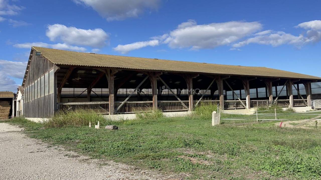 Gard - Domaine &eacute;questre sur 6 hectares