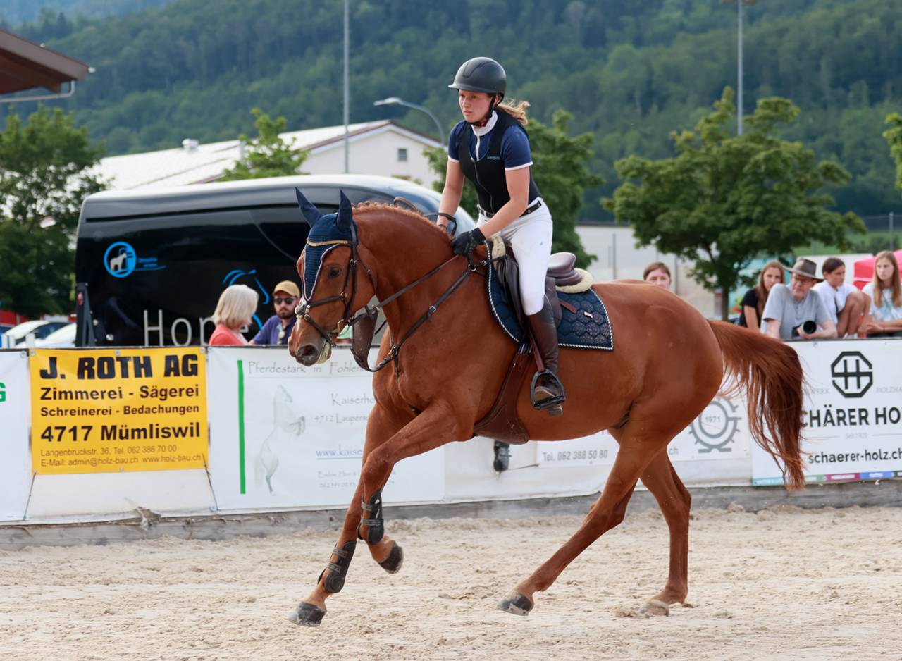 Cheval Suisse