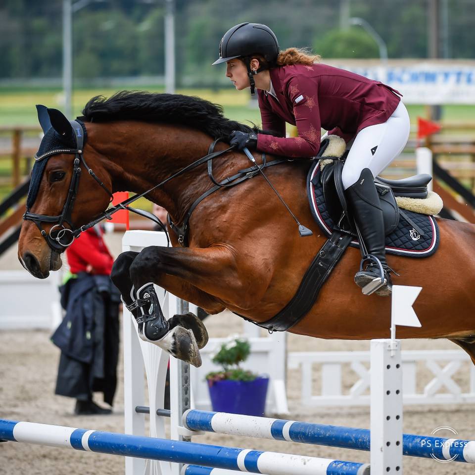 Herzenspfers & verl&auml;sslicher Lehrmeister