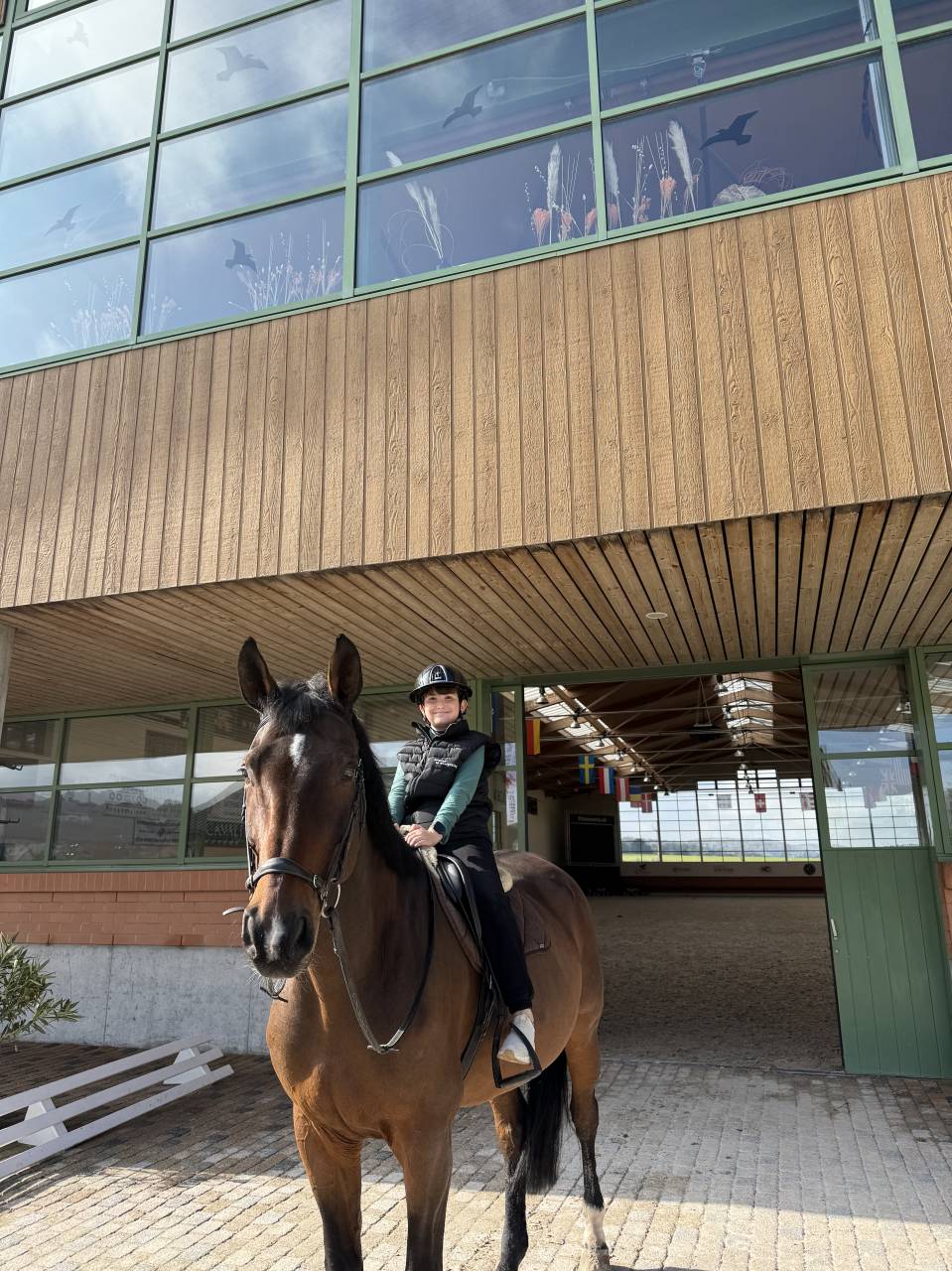 Herzenspfers & verl&auml;sslicher Lehrmeister