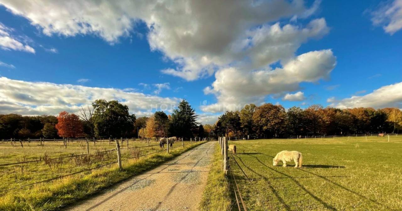 Propri&eacute;t&eacute; et Installations &eacute;questres sur 9,5 hectares dans le