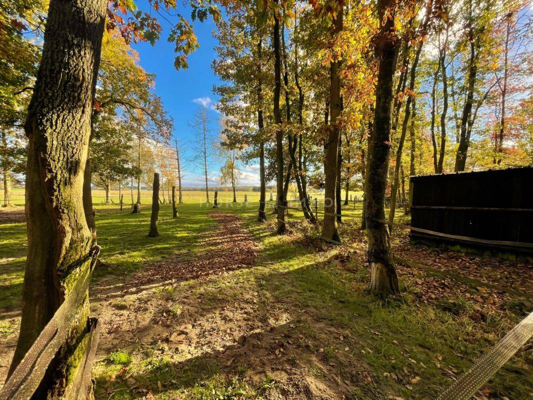 Propri&eacute;t&eacute; et Installations &eacute;questres sur 9,5 hectares dans le