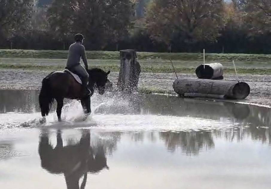 Lancelot de la petite Charbonni&egrave;re 