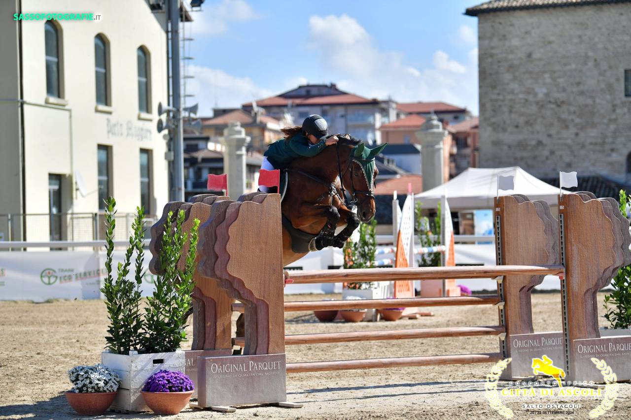 Jument Cheval de Sport Tch&egrave;que  A vendre 2013 Bai