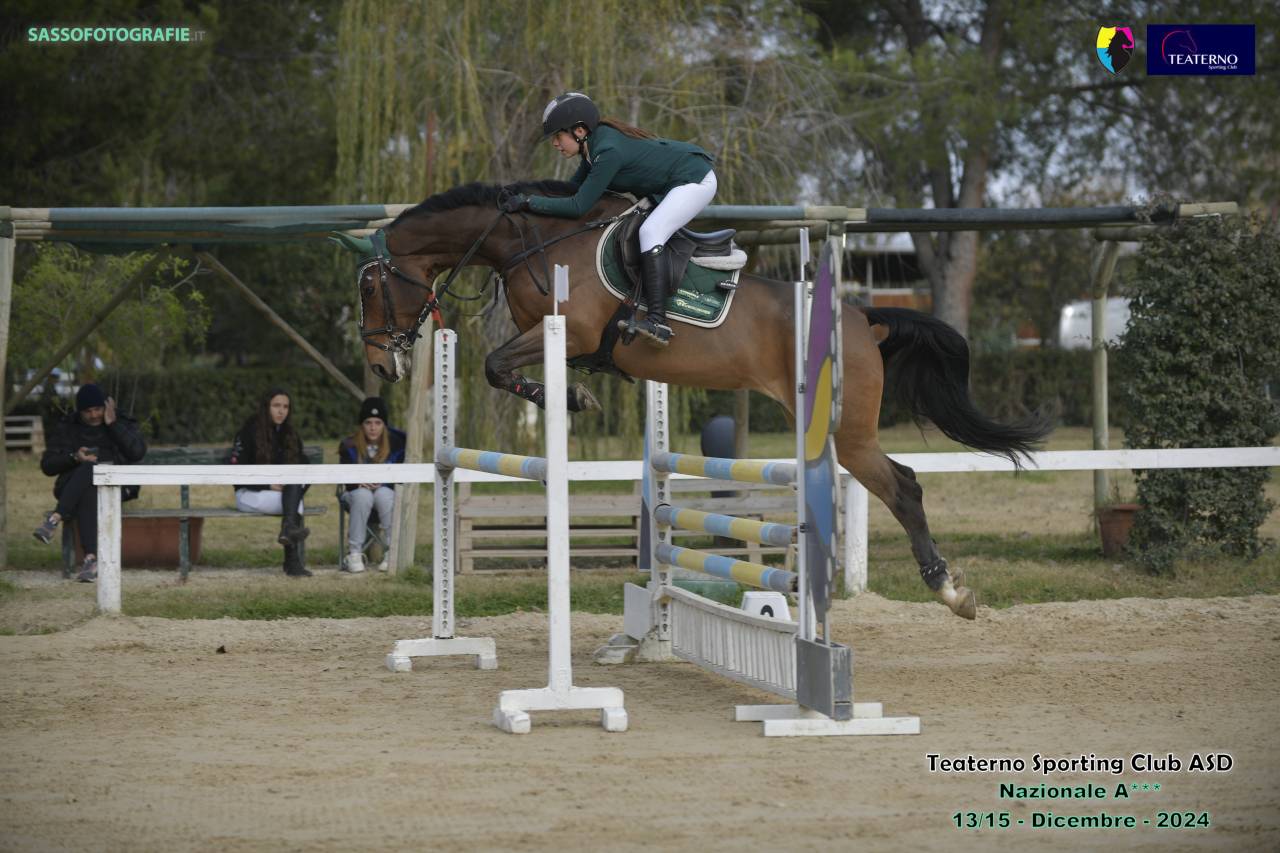 Jument Cheval de Sport Tch&egrave;que  A vendre 2013 Bai