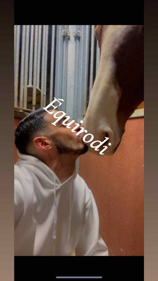 Sofien 37ans Palefrenier pour un poste log&eacute; 