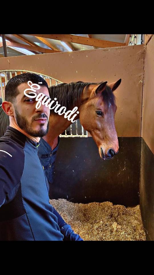 Sofien 37ans Palefrenier pour un poste log&eacute; 