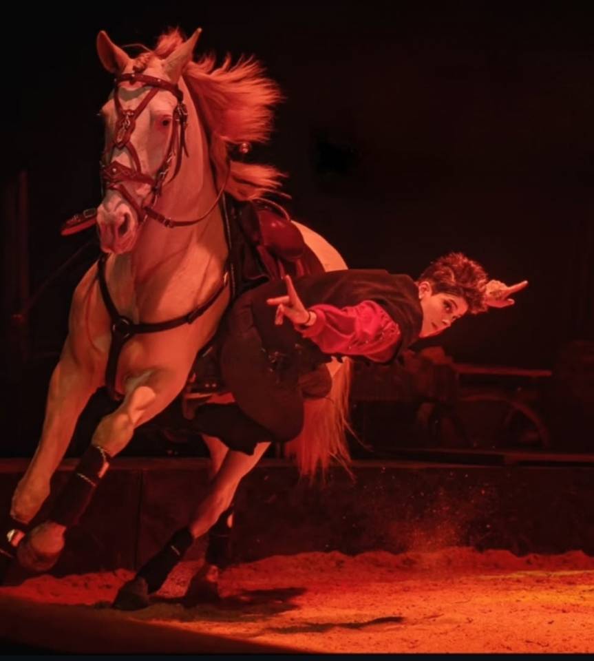 Cheval pie cr&egrave;me &agrave; vendre