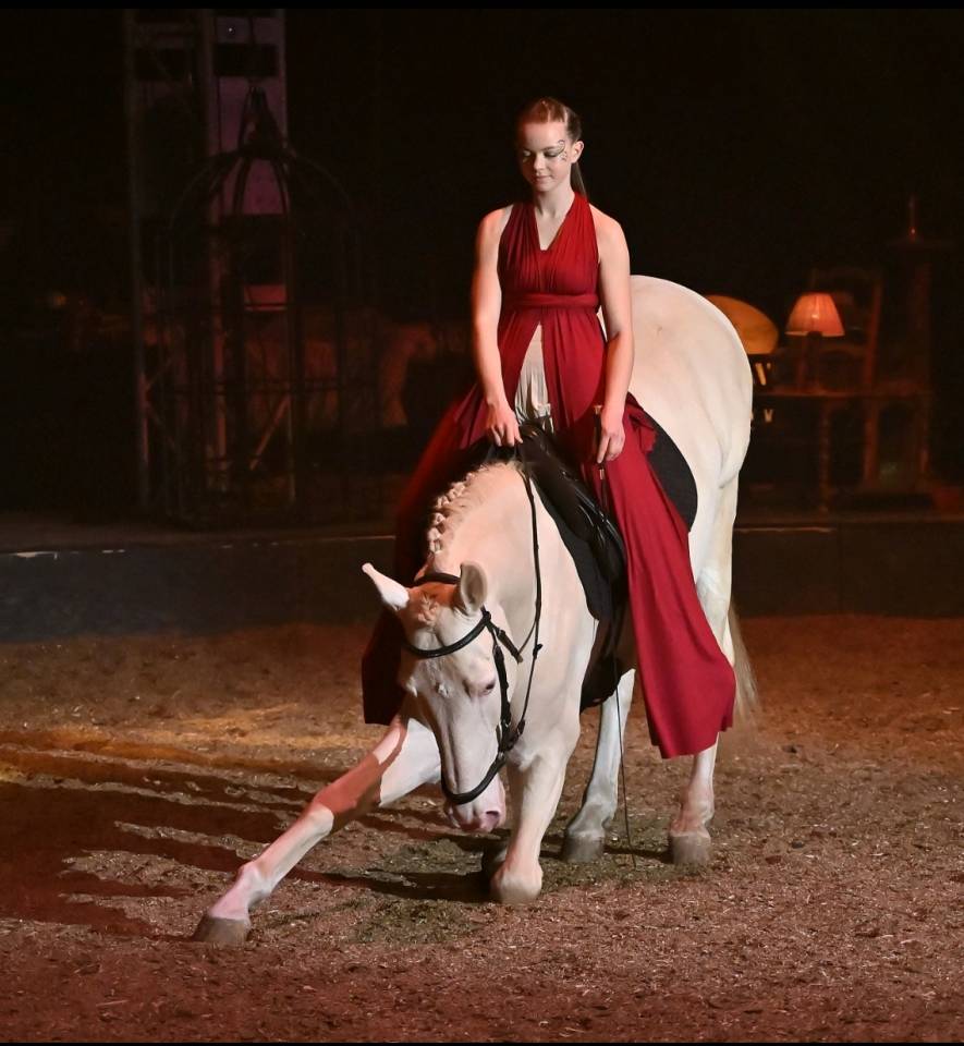 Cheval pie cr&egrave;me &agrave; vendre