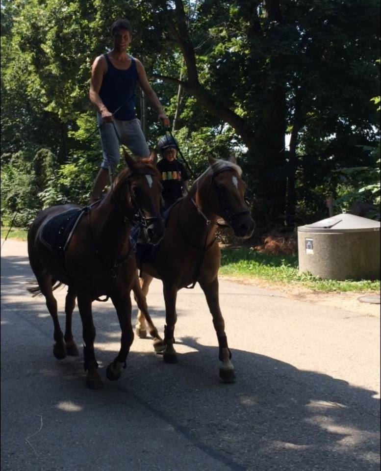 Cheval &agrave; placer pour retraite et ballade