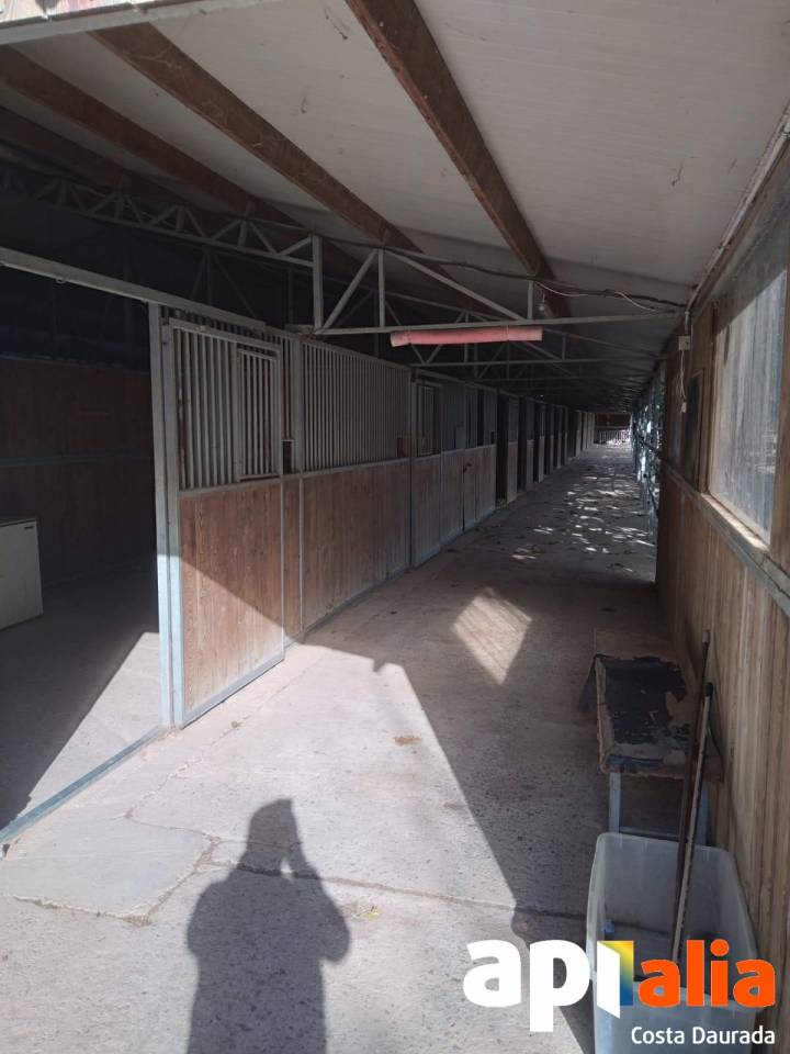 Propri&eacute;t&eacute; &eacute;questre A louer Tarragone