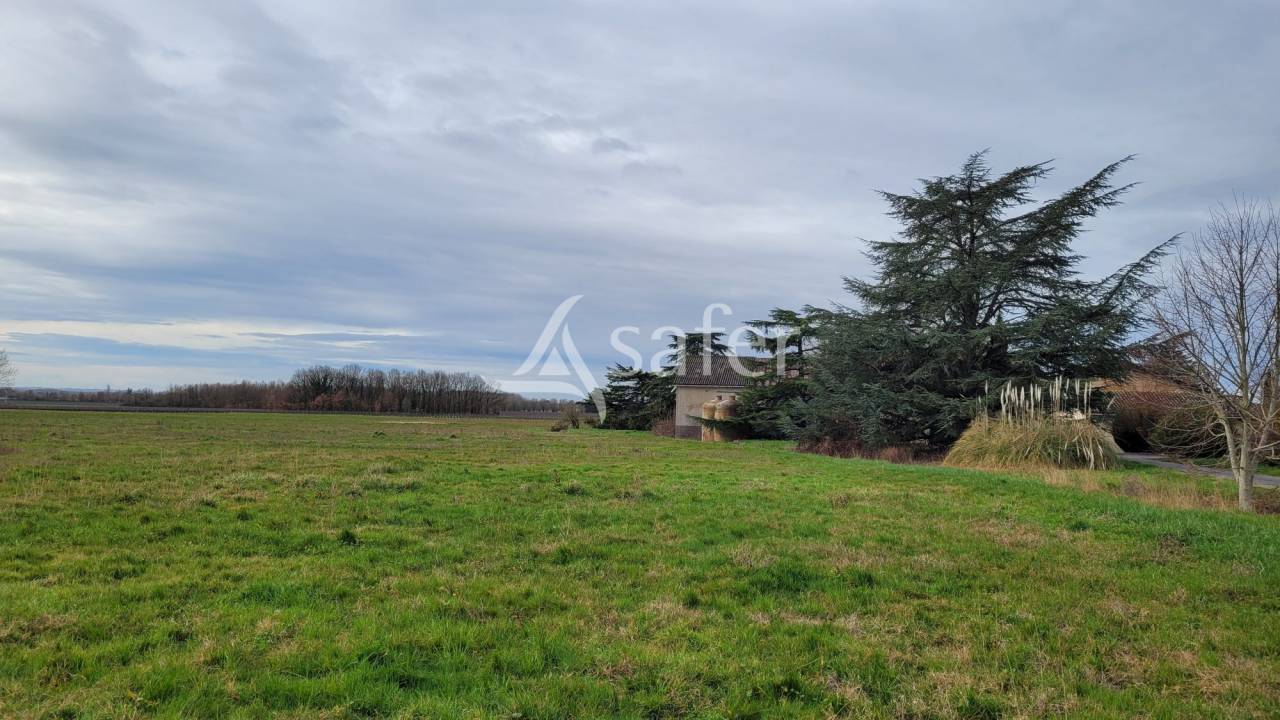 Domaine agricole 22ha Gaillac