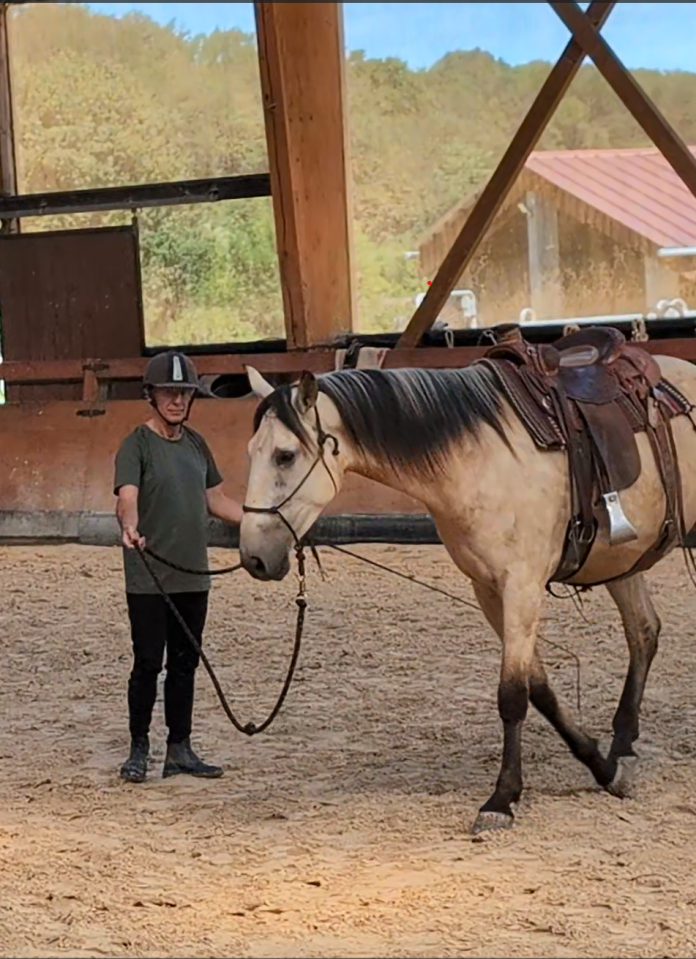 MARUJO, hongre PRE prometteur et valeur s&ucirc;re