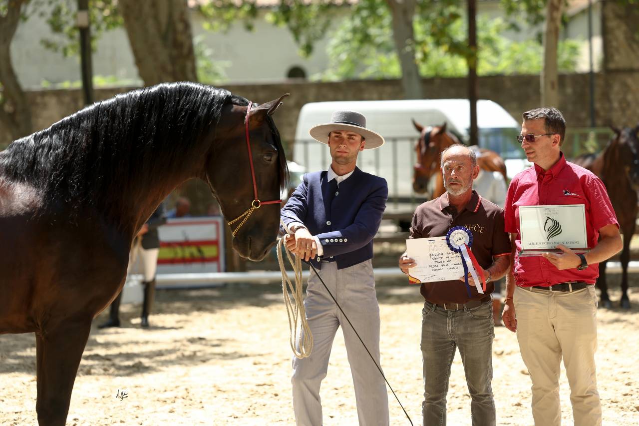 Offrez l'excellence &agrave; vos futures g&eacute;n&eacute;rations