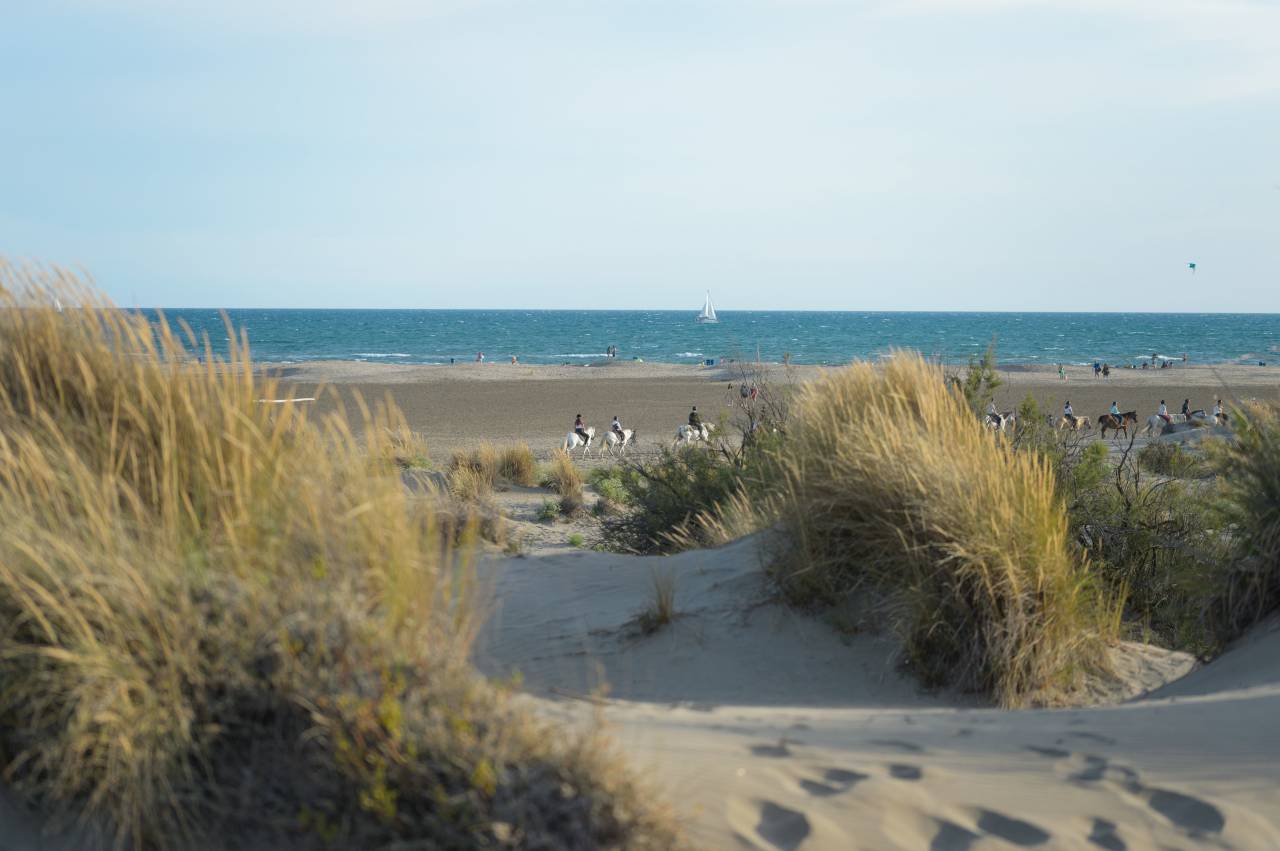 Bouches-du-Rh&ocirc;ne (13) SAINTES MARIES DE LA MER (13460) 