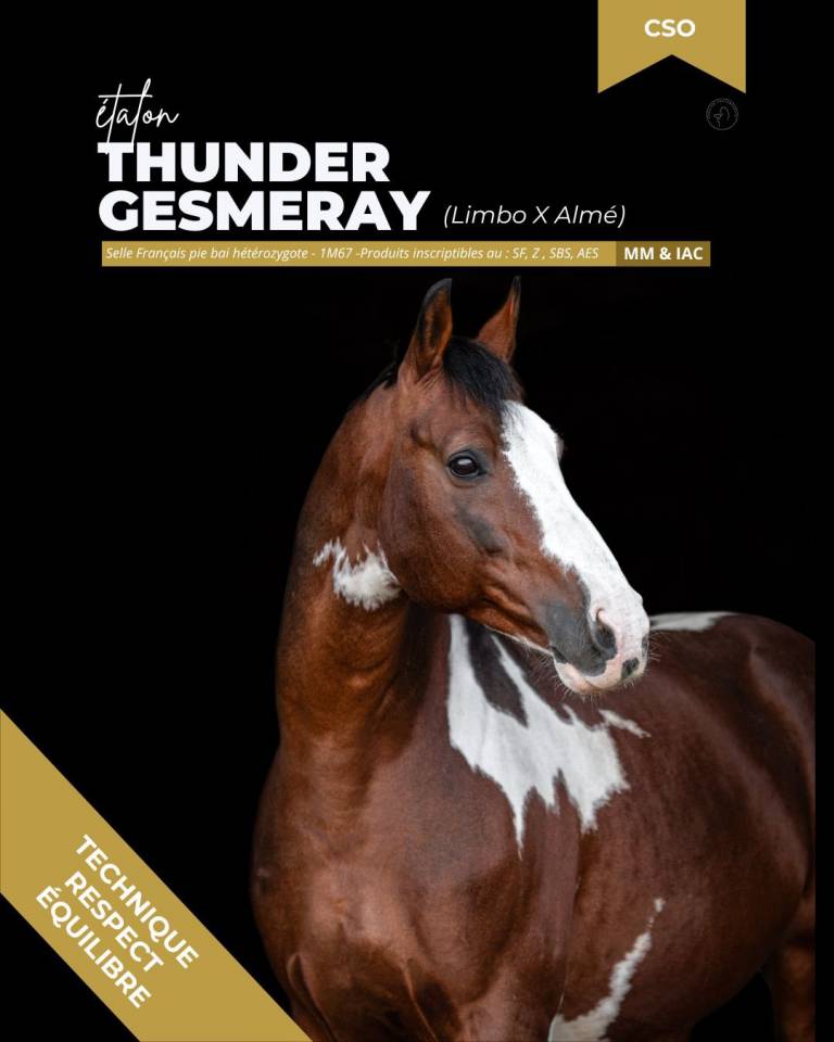 SAILLIES ETALON DE COULEUR 